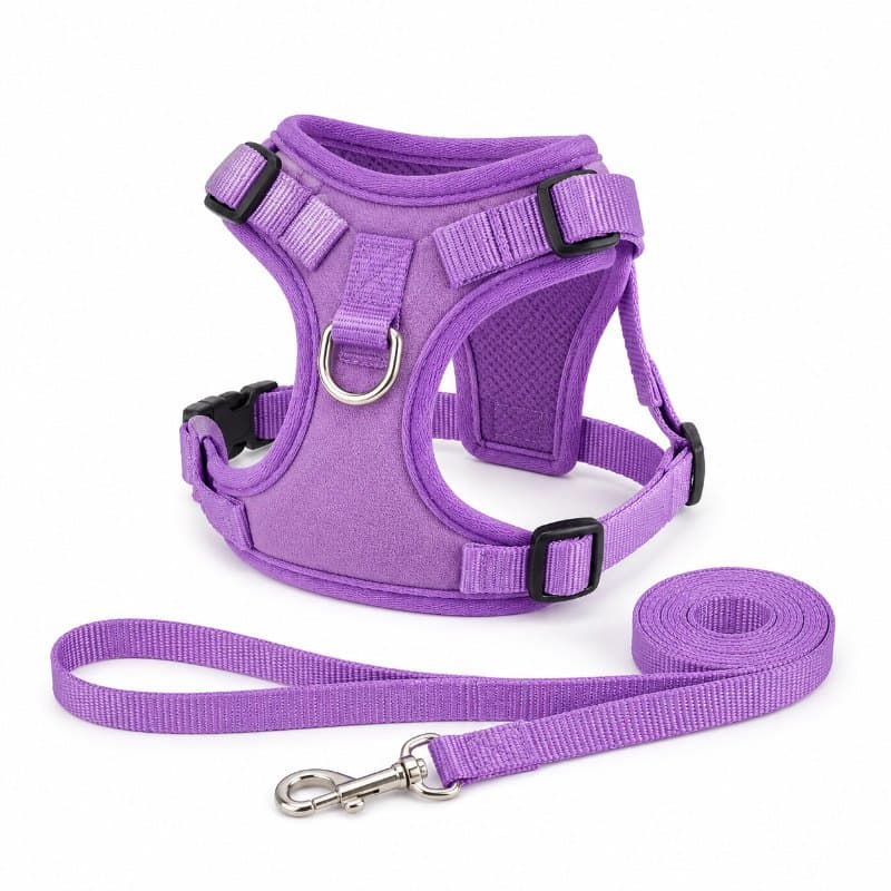 Cat Harness