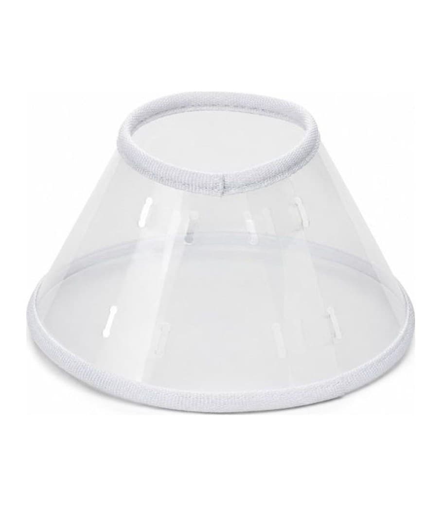 E Collar no. 2