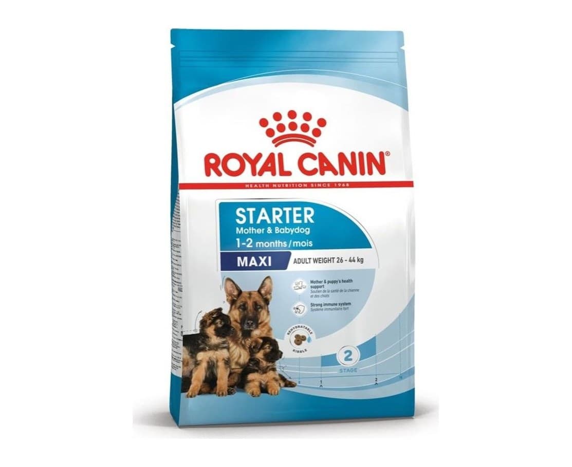 Royal Canin maxi Starter 4 kg